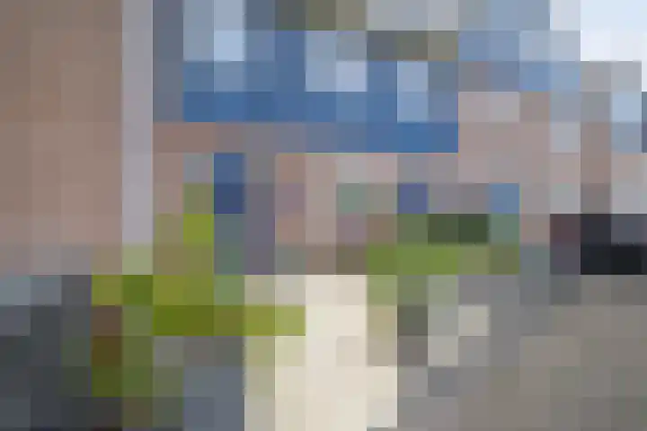 Nachtegalenpark 10 Assendelft thumbnail 7