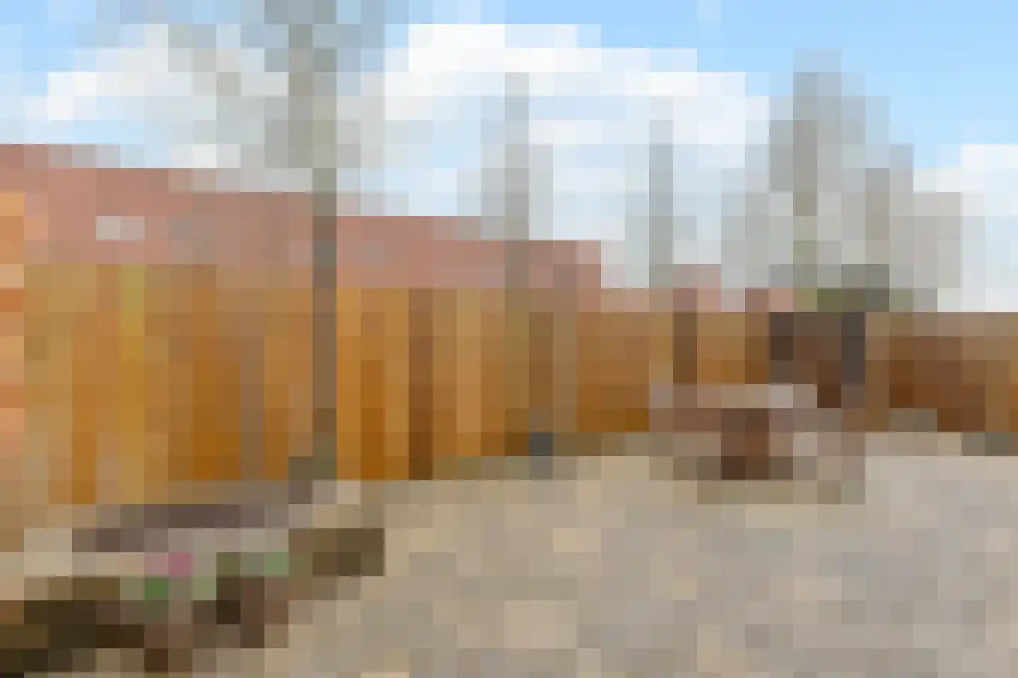 Nachtegalenpark 8 Assendelft thumbnail 13