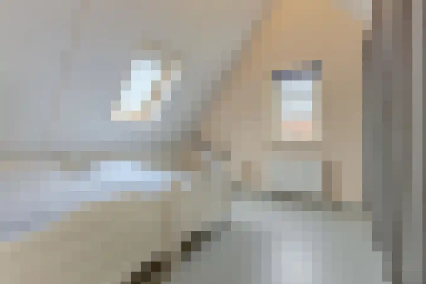 Nachtegalenpark 8 Assendelft thumbnail 28
