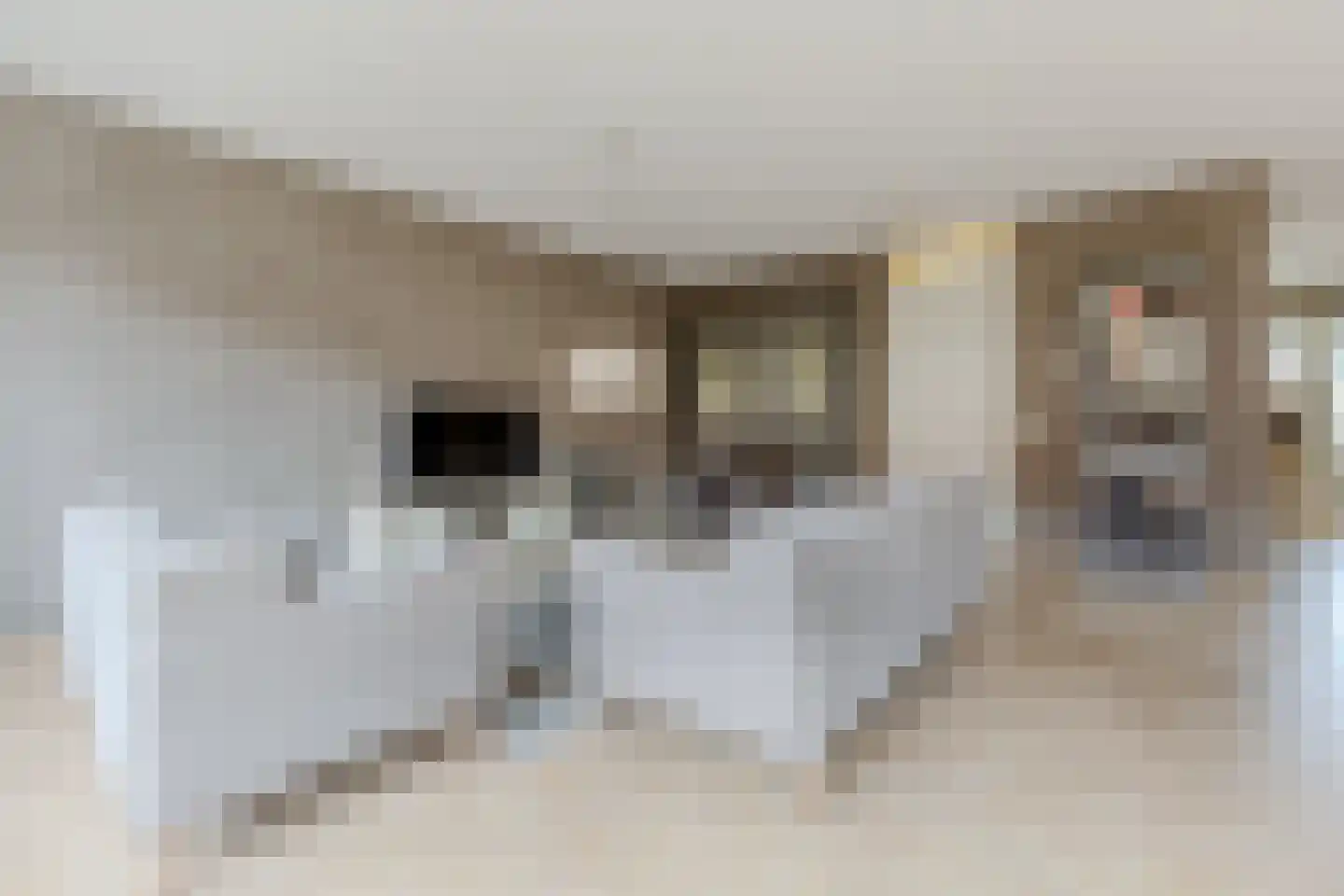 Nachtegalenpark 8 Assendelft thumbnail 6