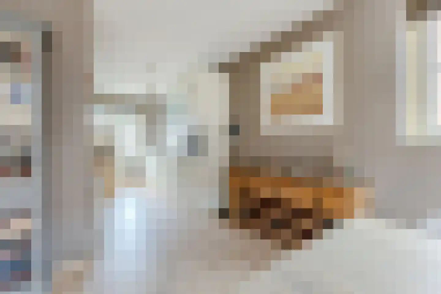 Nachtegalenpark 8 Assendelft thumbnail 8