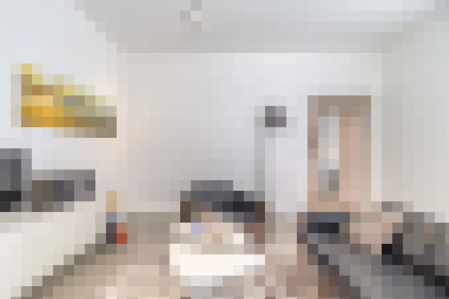 Nachtegalenstraat 13 A Cadzand thumbnail 7