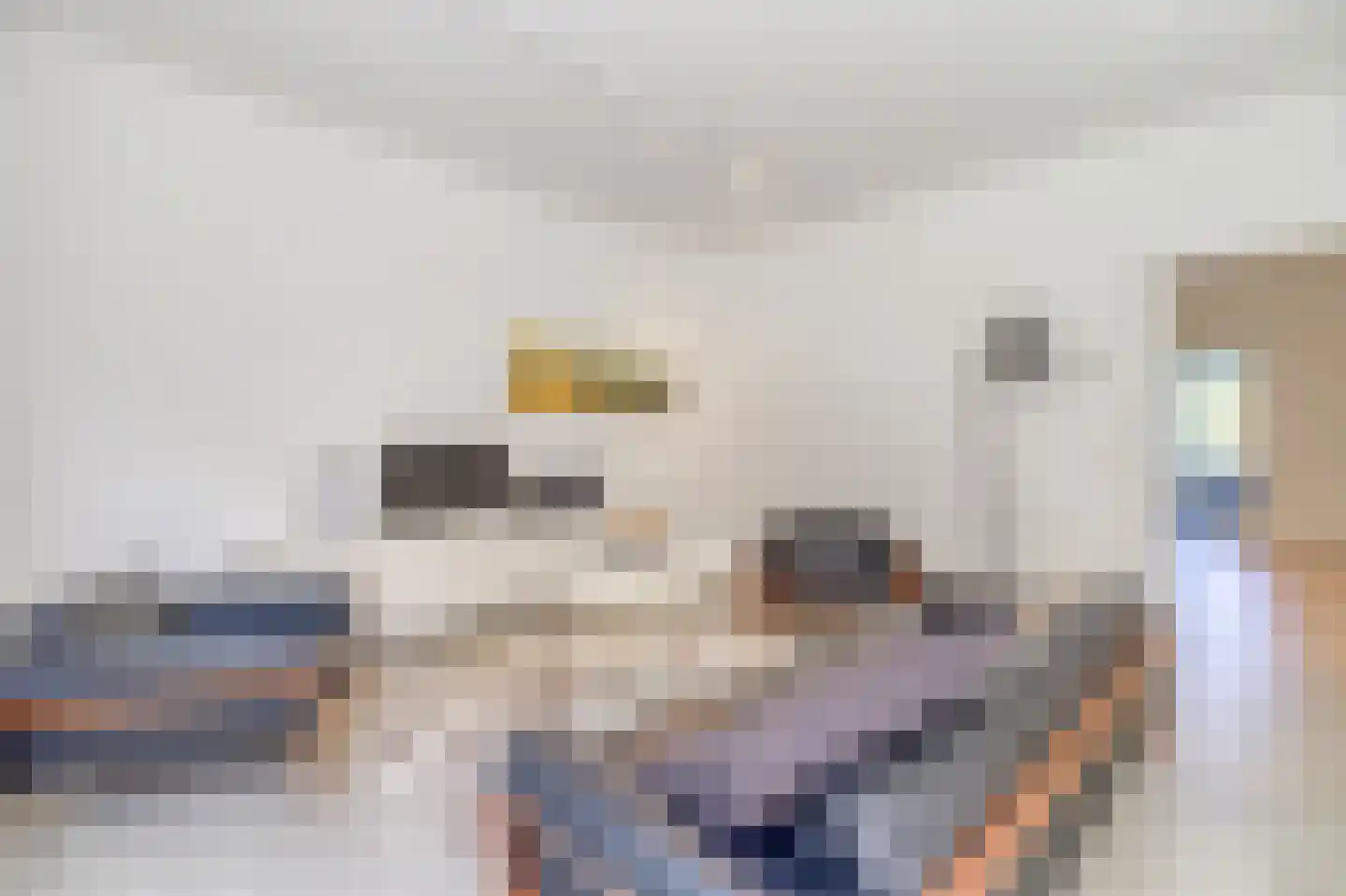 Nachtegalenstraat 13 B Cadzand thumbnail 6