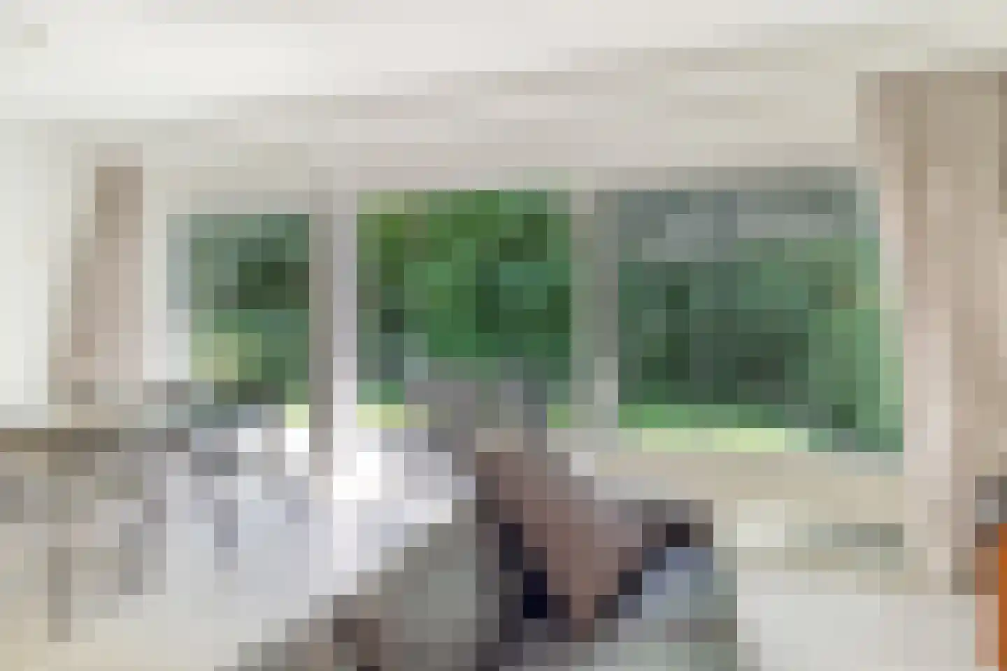 Nachtegalenstraat 13 B Cadzand thumbnail 8