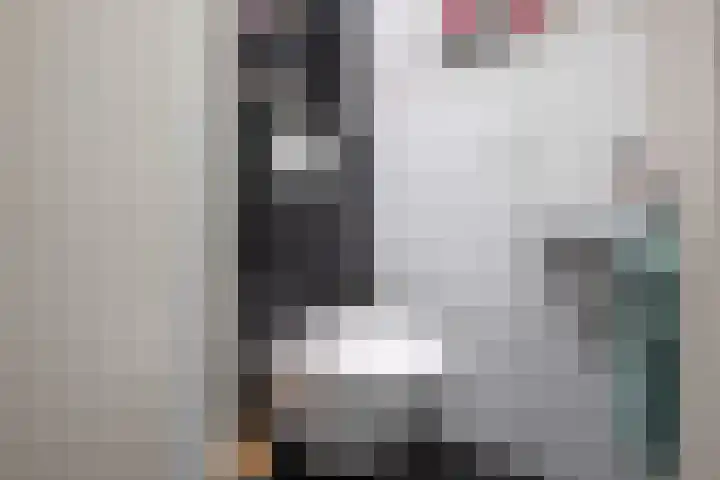 Nachtijs 10 Sommelsdijk thumbnail 11