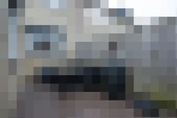 Nachtijs 10 Sommelsdijk thumbnail 22