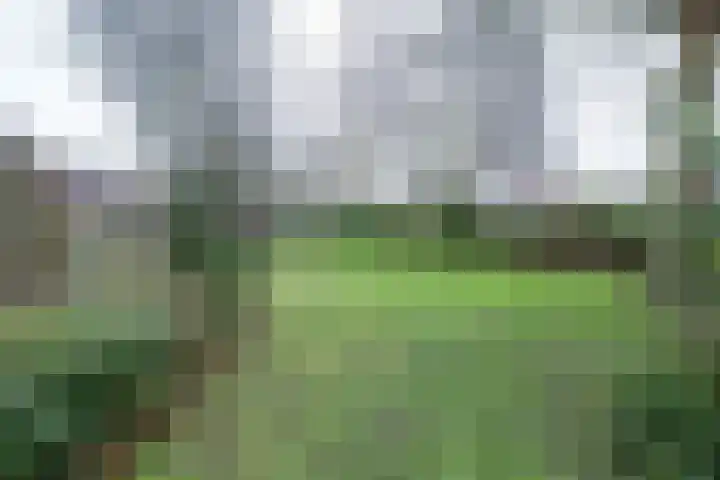Nachtijs 10 Sommelsdijk thumbnail 26