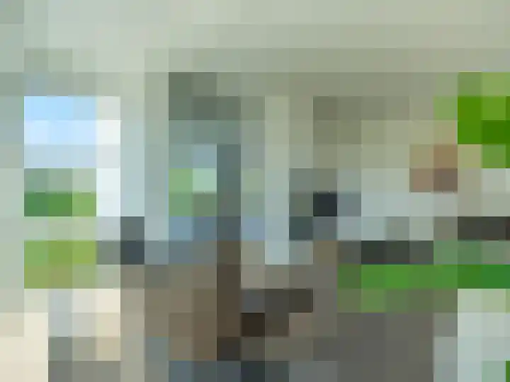 Nachtlân 22 De Wilgen thumbnail 15