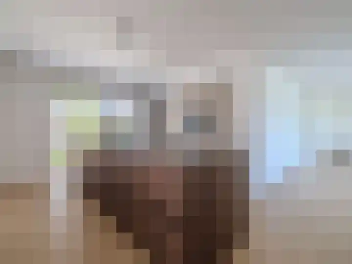 Nachtlân 22 De Wilgen thumbnail 18