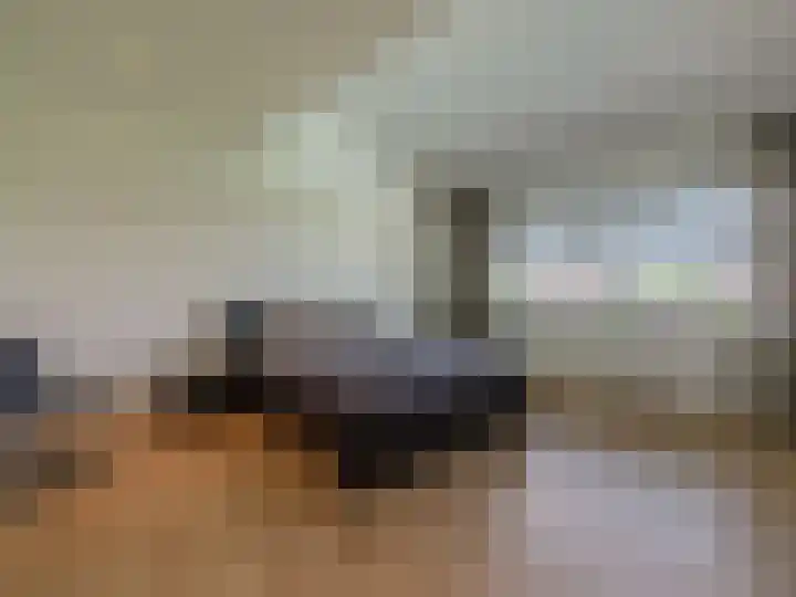 Nachtlân 22 De Wilgen thumbnail 23