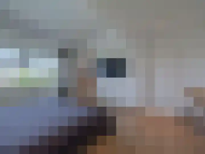 Nachtlân 22 De Wilgen thumbnail 25