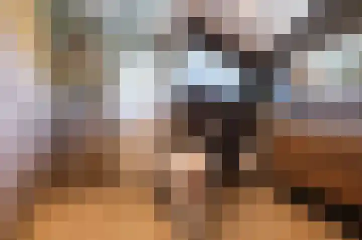 Nachtlân 22 De Wilgen thumbnail 27