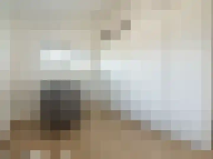 Nachtlân 22 De Wilgen thumbnail 32