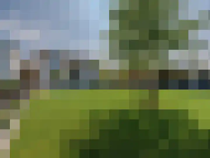 Nachtlân 22 De Wilgen thumbnail 4