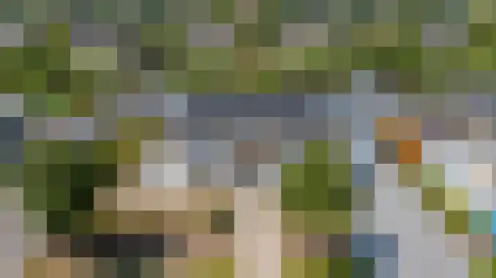 Nachtlân 22 De Wilgen thumbnail 48