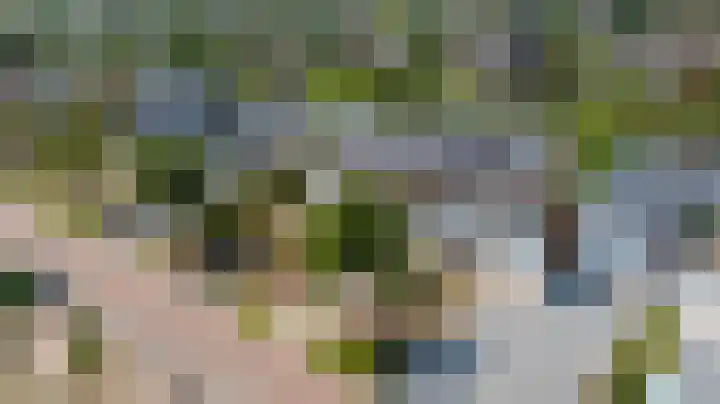 Nachtlân 22 De Wilgen thumbnail 49