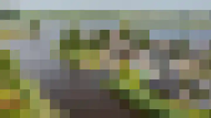 Nachtlân 22 De Wilgen thumbnail 51