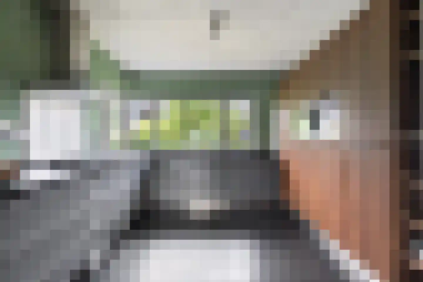 Nachtlân 86 De Wilgen thumbnail 19