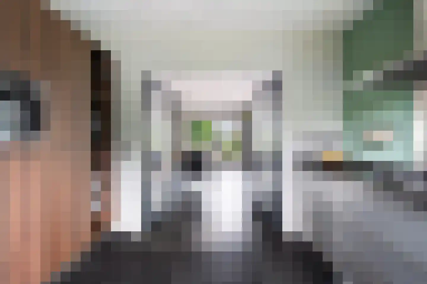 Nachtlân 86 De Wilgen thumbnail 20