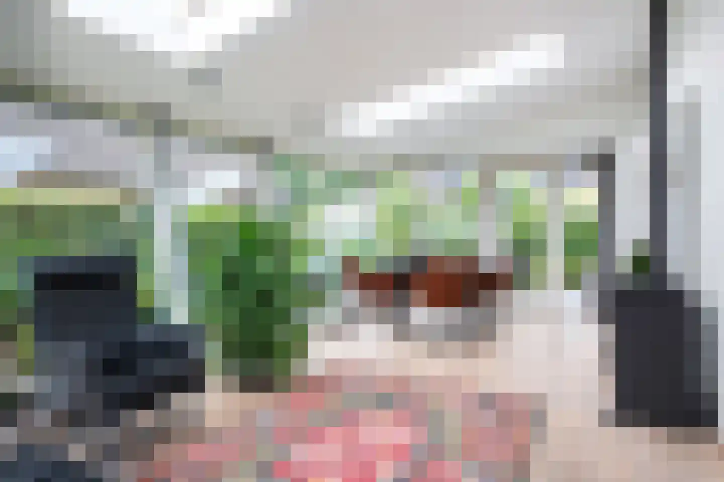 Nachtlân 86 De Wilgen thumbnail 22
