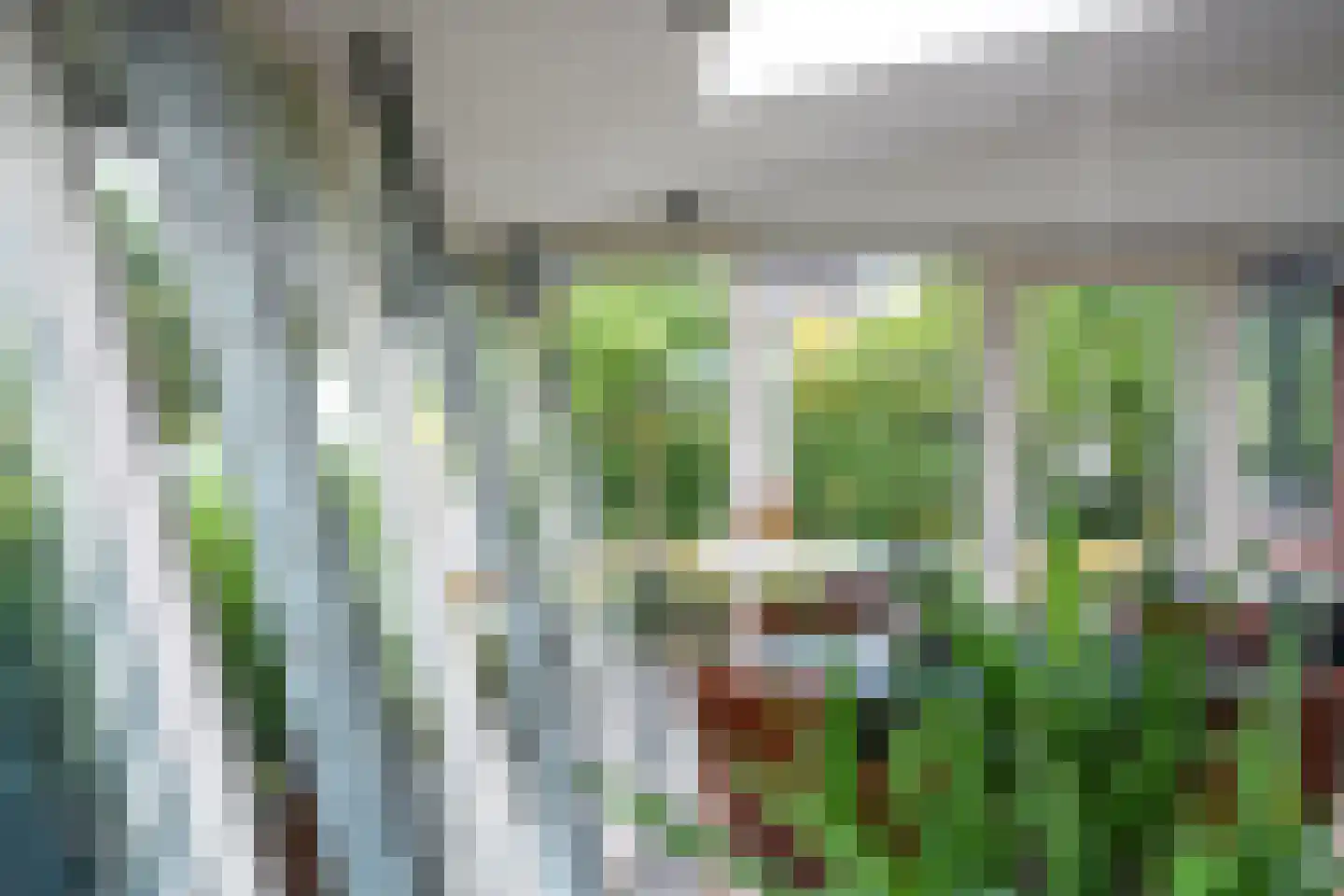 Nachtlân 86 De Wilgen thumbnail 34