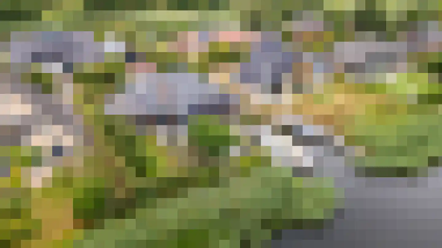 Nachtlân 86 De Wilgen thumbnail 4