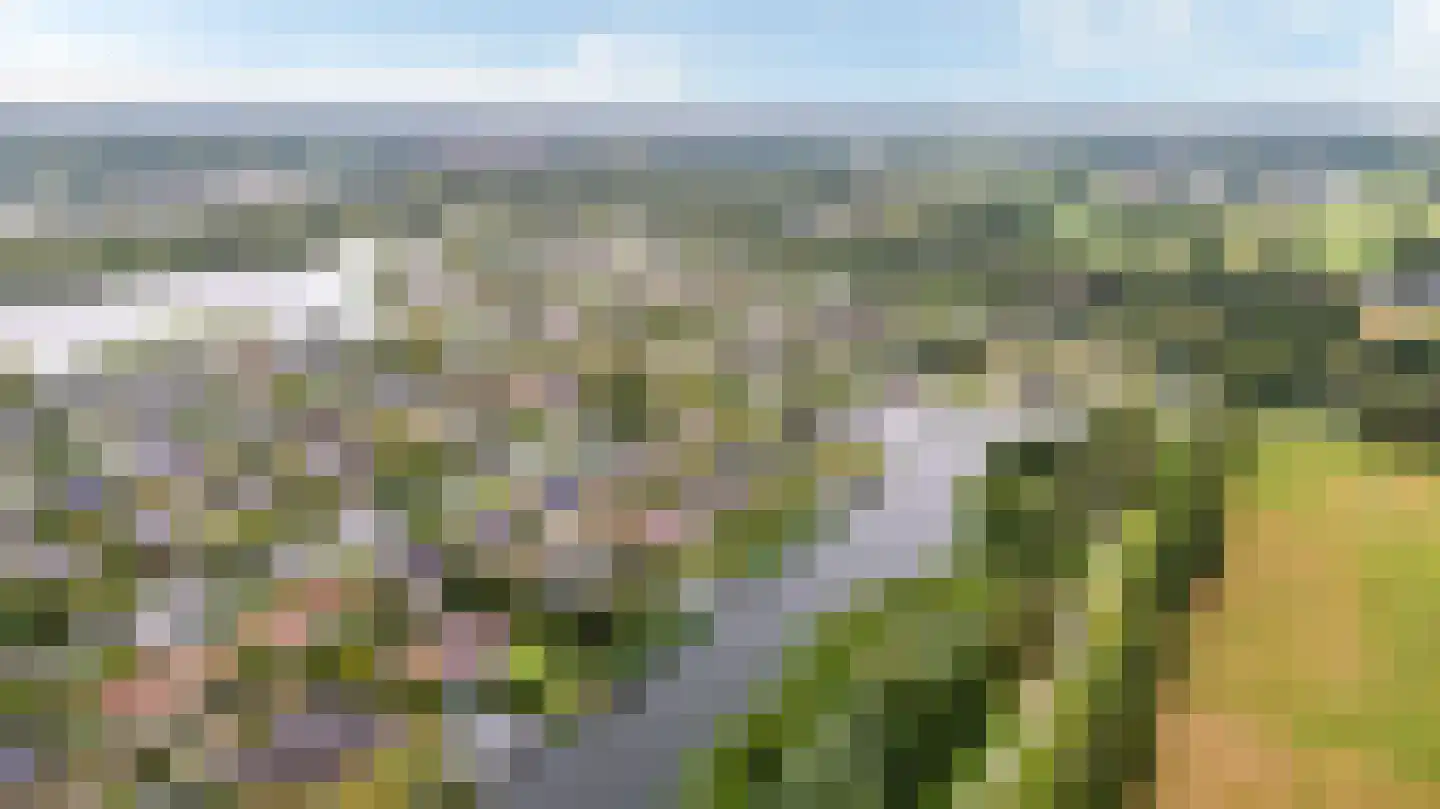 Nachtlân 86 De Wilgen thumbnail 5