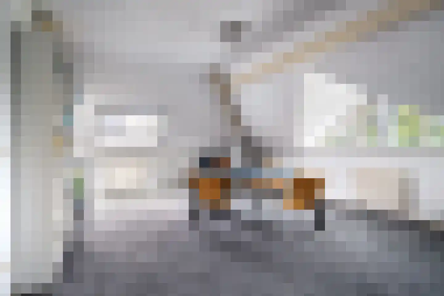 Nachtlân 86 De Wilgen thumbnail 55
