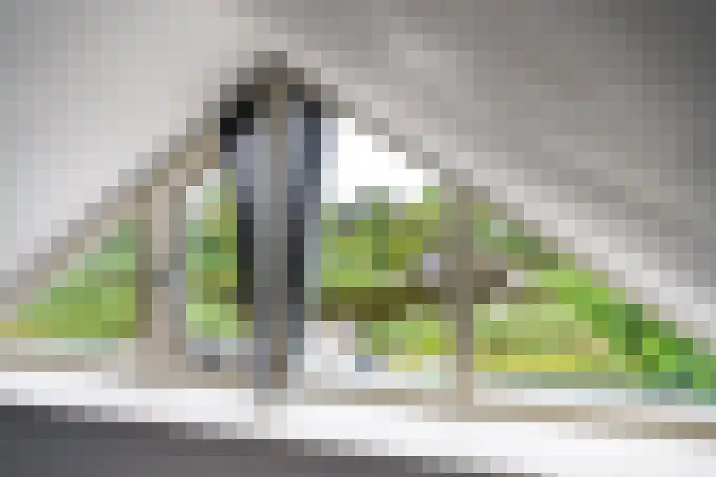 Nachtlân 86 De Wilgen thumbnail 63