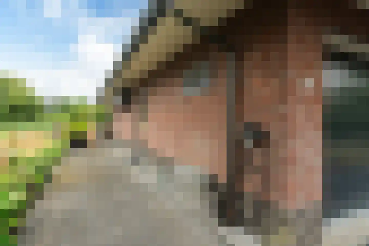 Nachtlân 86 De Wilgen thumbnail 64