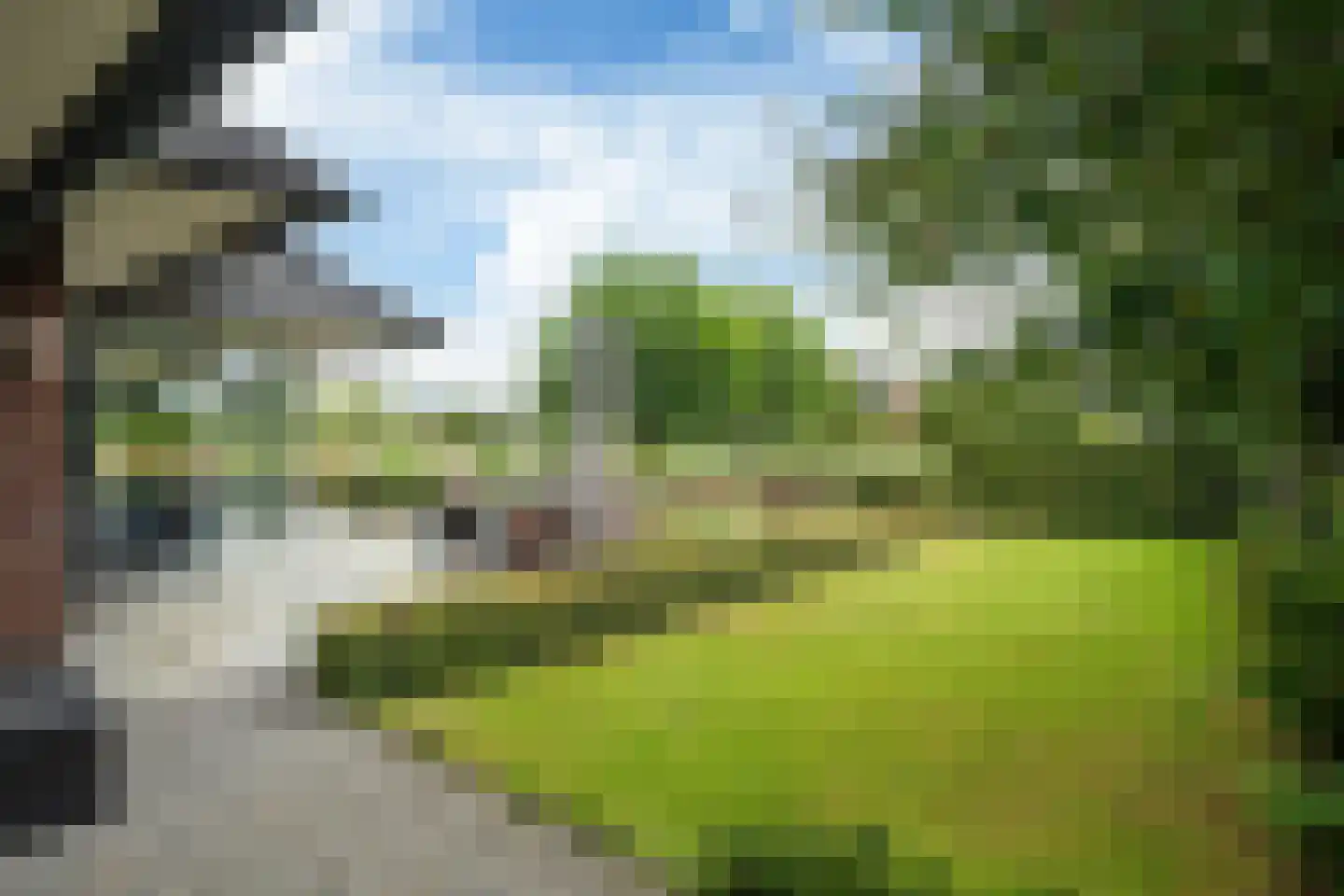 Nachtlân 86 De Wilgen thumbnail 65