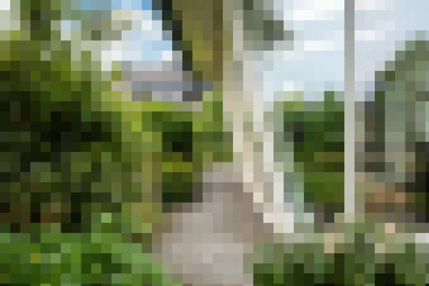 Nachtlân 86 De Wilgen thumbnail 70