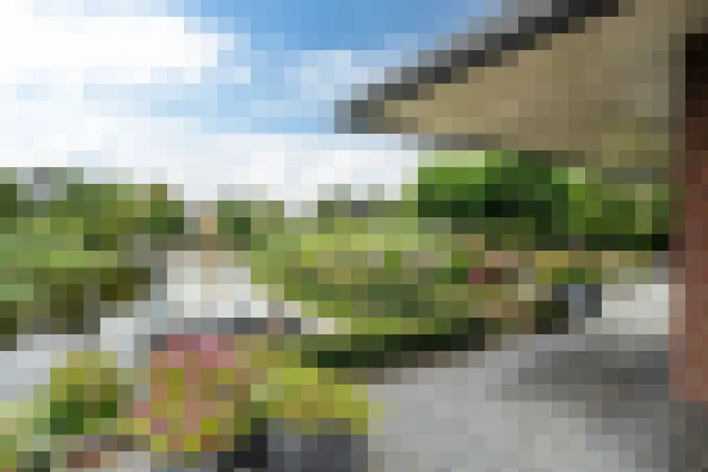 Nachtlân 86 De Wilgen thumbnail 72