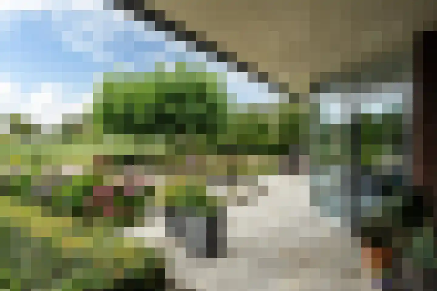 Nachtlân 86 De Wilgen thumbnail 73