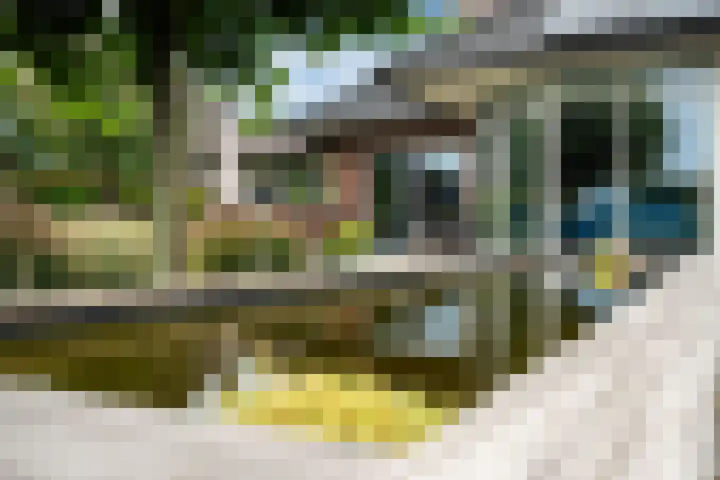 Nachtlân 86 De Wilgen thumbnail 79