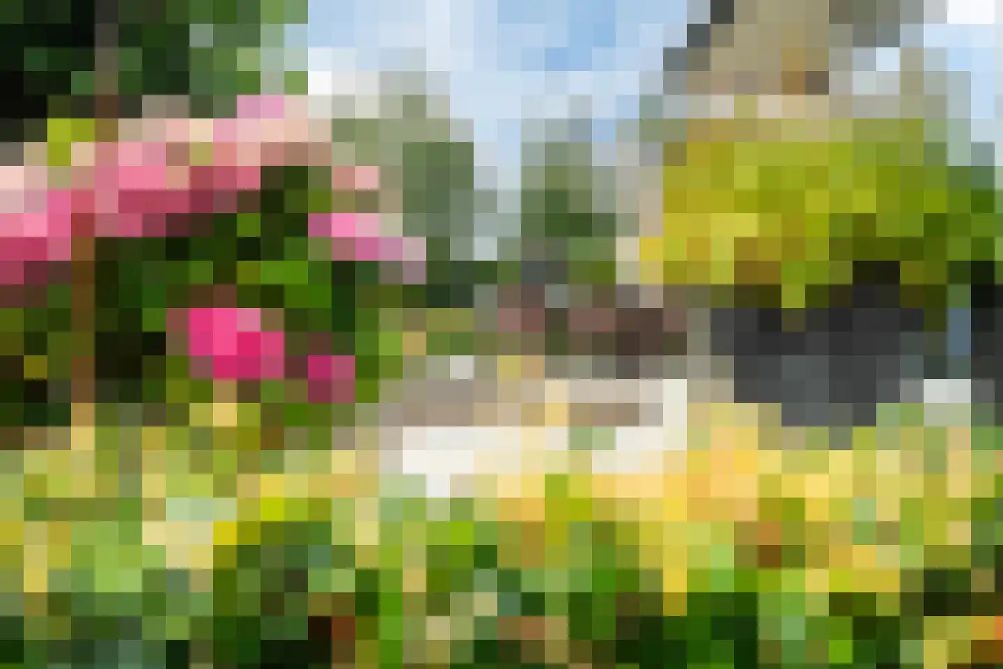 Nachtlân 86 De Wilgen thumbnail 81