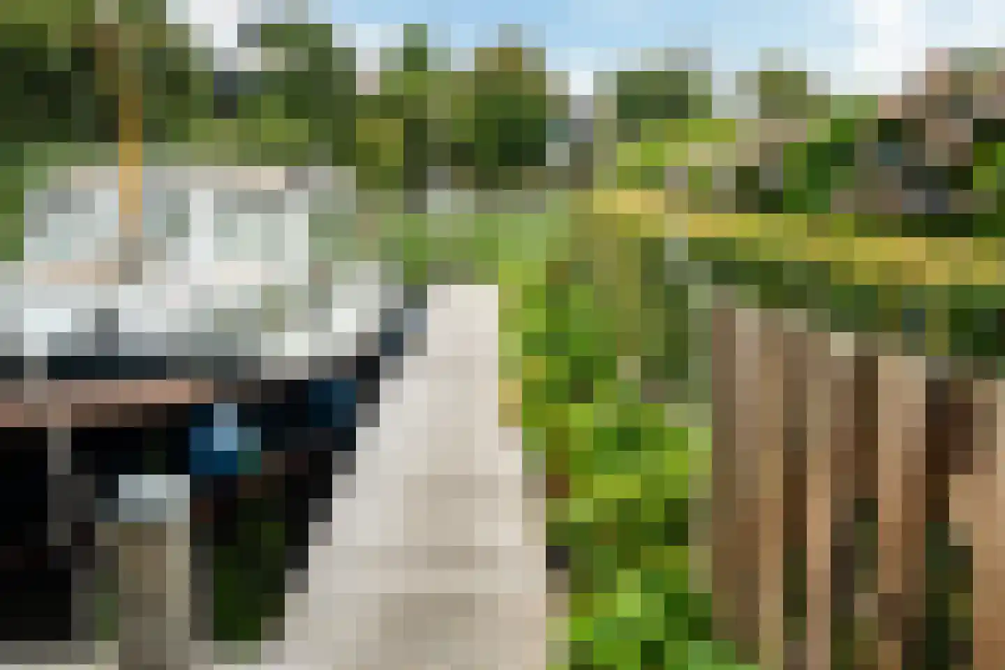 Nachtlân 86 De Wilgen thumbnail 82