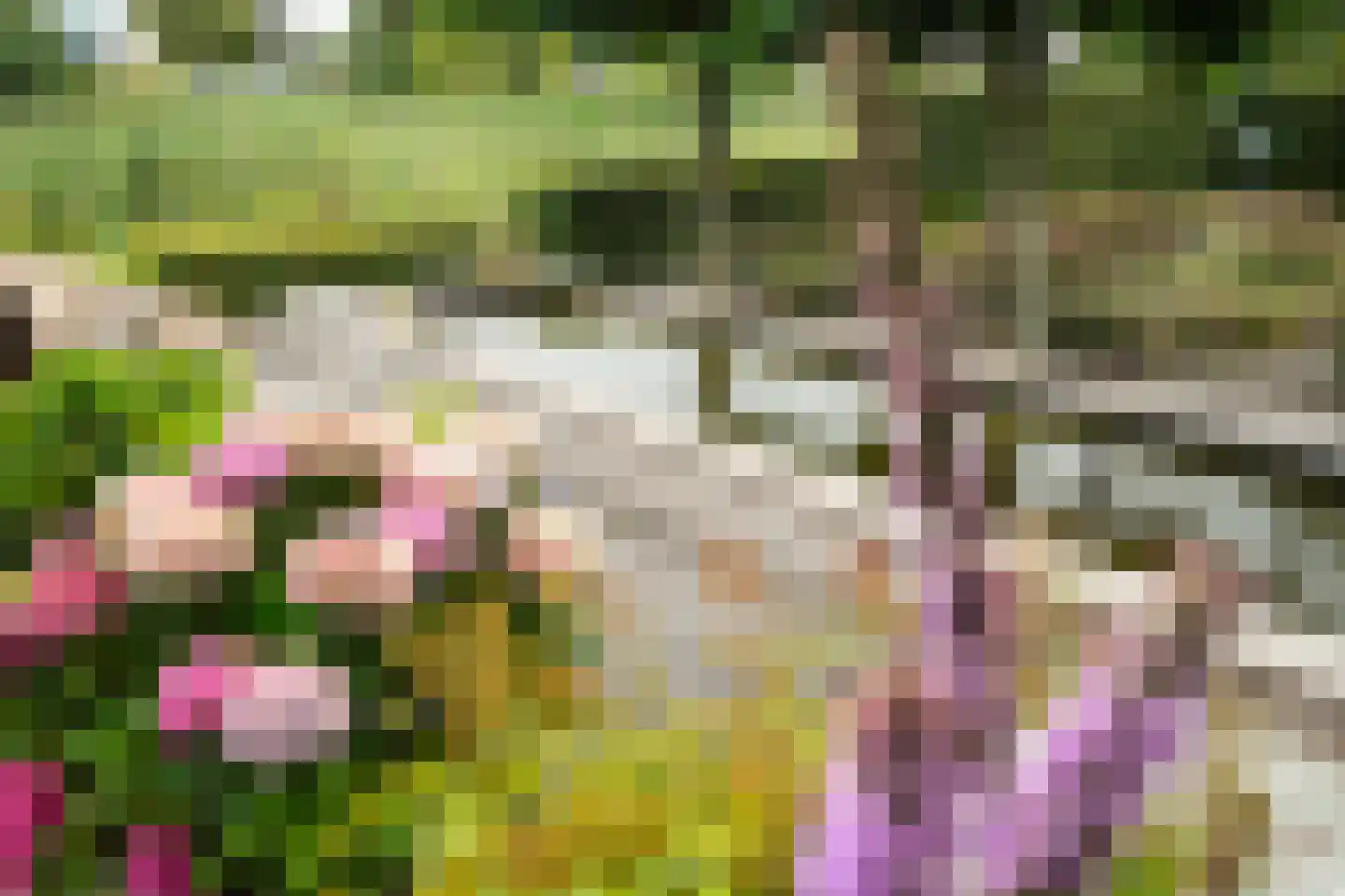 Nachtlân 86 De Wilgen thumbnail 83
