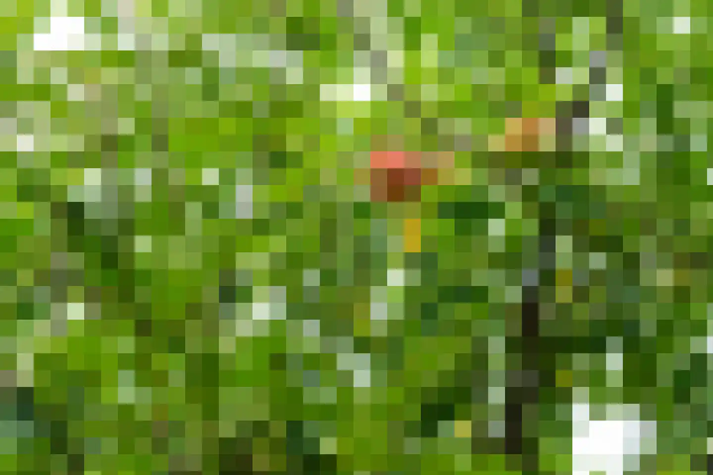 Nachtlân 86 De Wilgen thumbnail 85