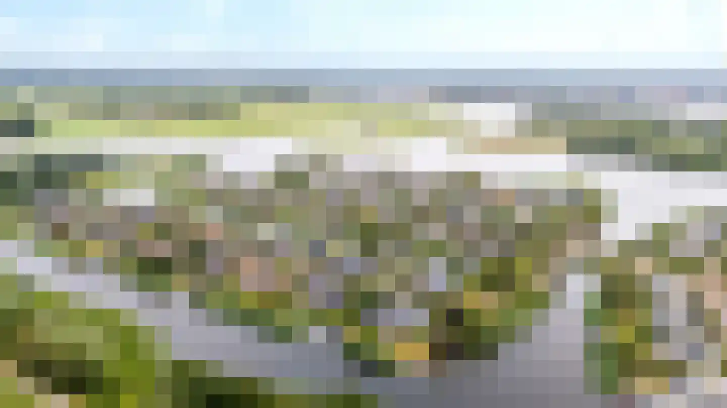 Nachtlân 86 De Wilgen thumbnail 86