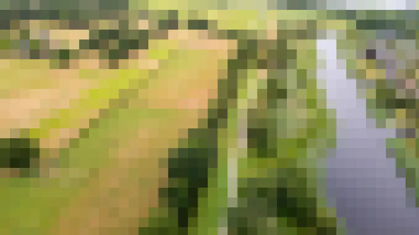 Nachtlân 86 De Wilgen thumbnail 87