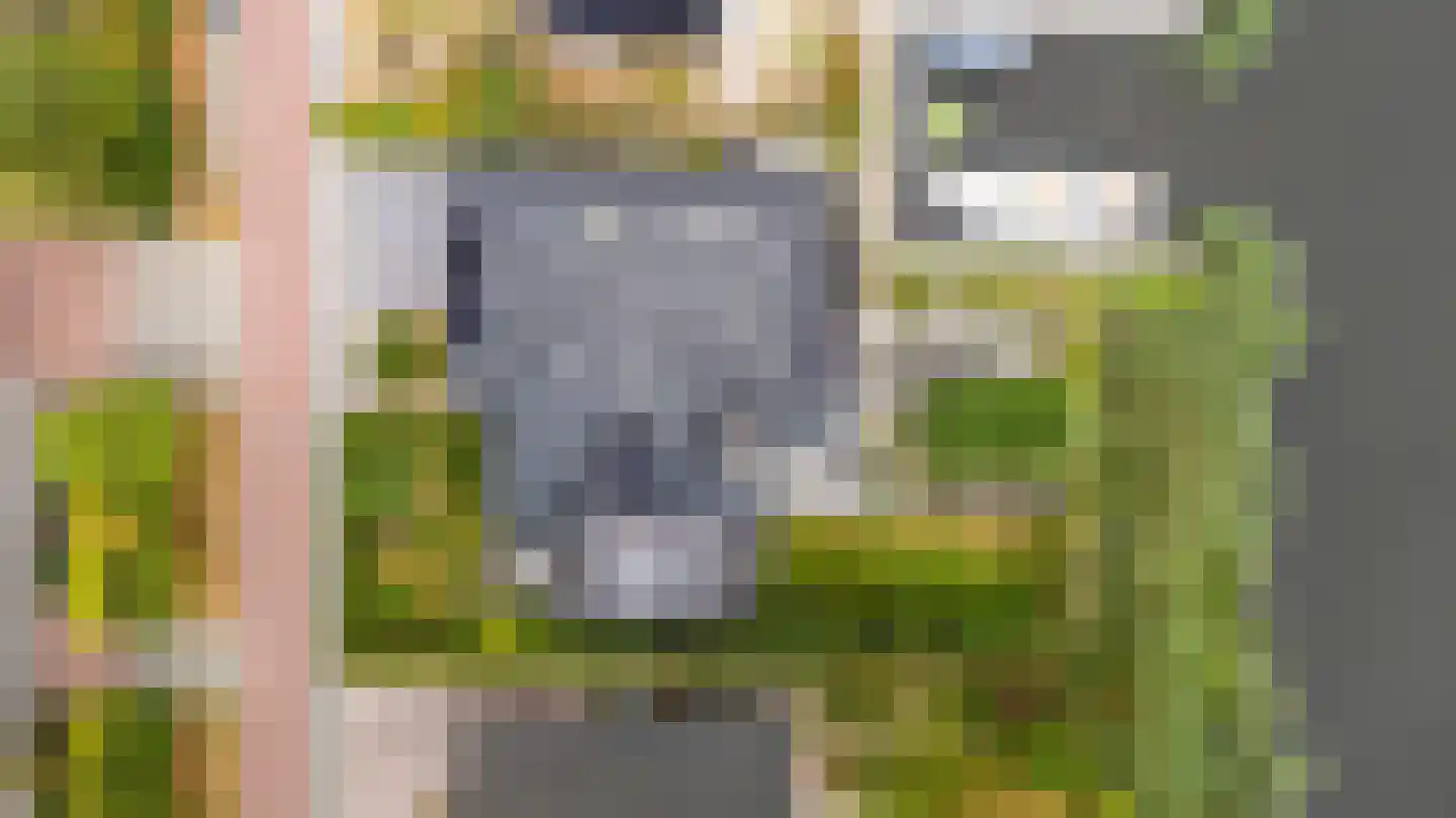 Nachtlân 86 De Wilgen thumbnail 88