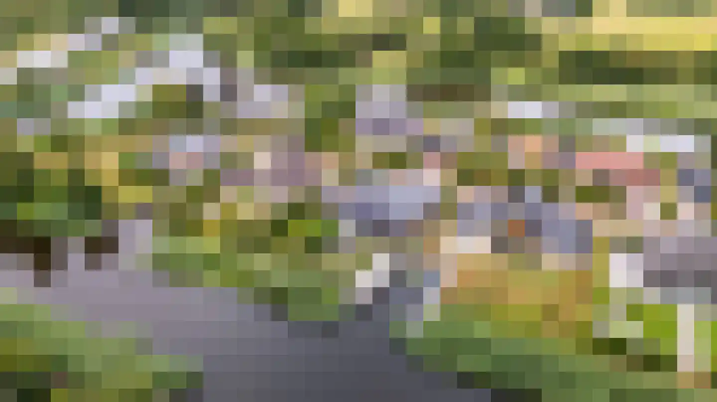 Nachtlân 86 De Wilgen thumbnail 89