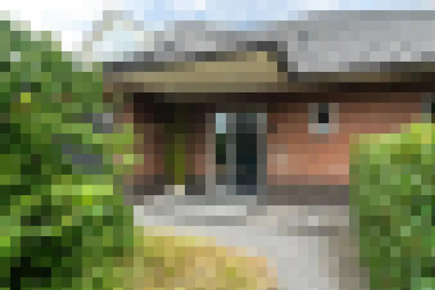 Nachtlân 86 De Wilgen thumbnail 9
