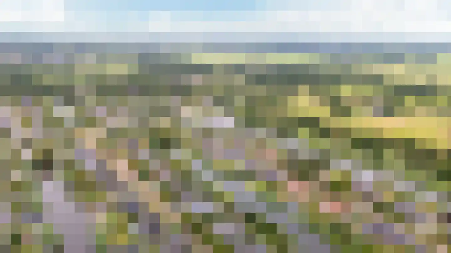 Nachtlân 86 De Wilgen thumbnail 91
