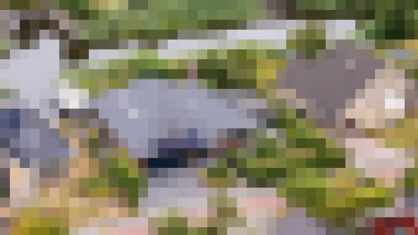 Nachtlân 86 De Wilgen thumbnail 93