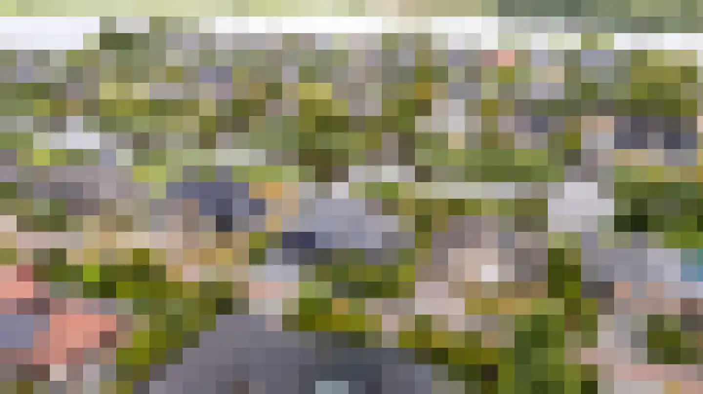 Nachtlân 86 De Wilgen thumbnail 94