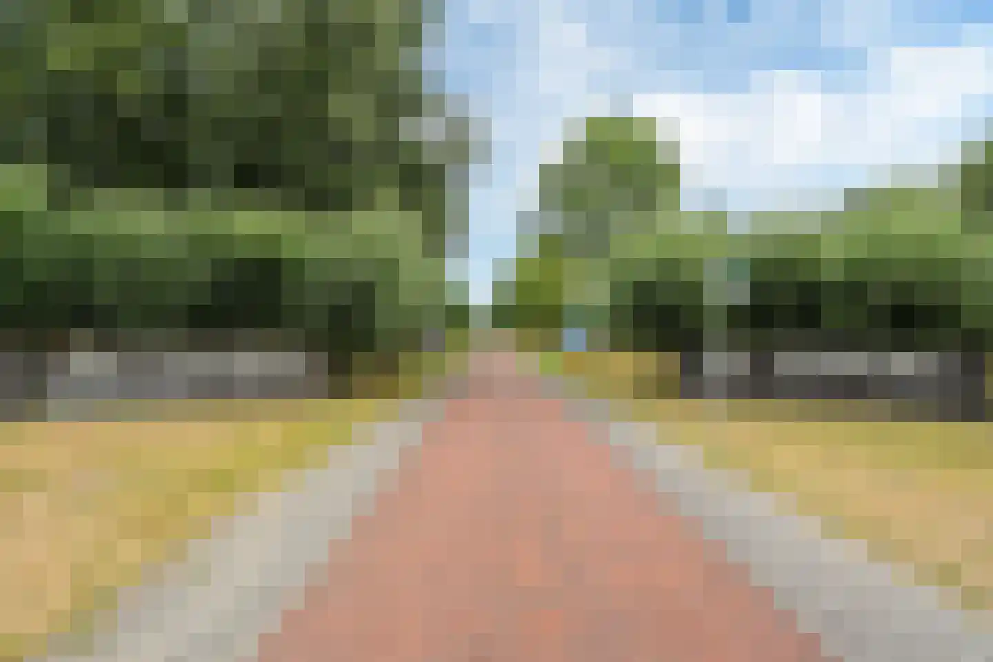 Nachtlân 86 De Wilgen thumbnail 97