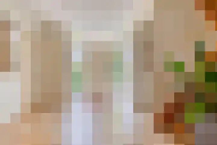 Nachtlân 92 De Wilgen thumbnail 10