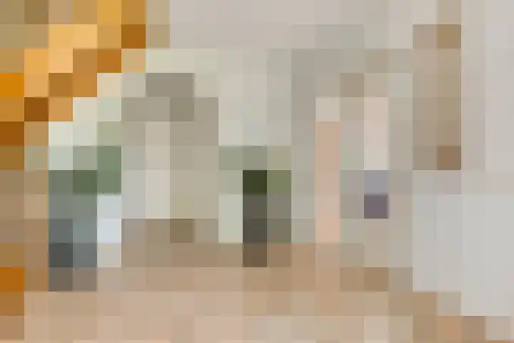Nachtlân 92 De Wilgen thumbnail 12